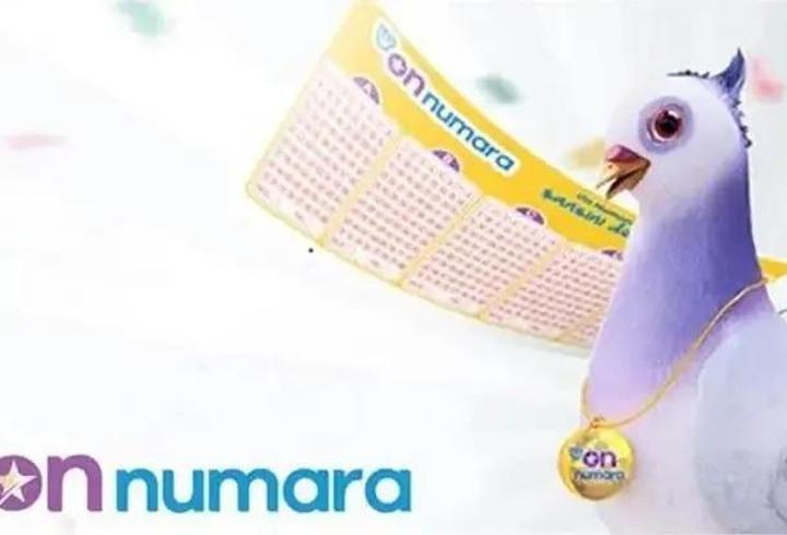 ON NUMARA SONUÇ SORGULAMA EKRANI 16 EKİM: On Numara sonuçları nereden ve nasıl sorgulanır? MPİ On Numara sonuçları öğrenme ekranı