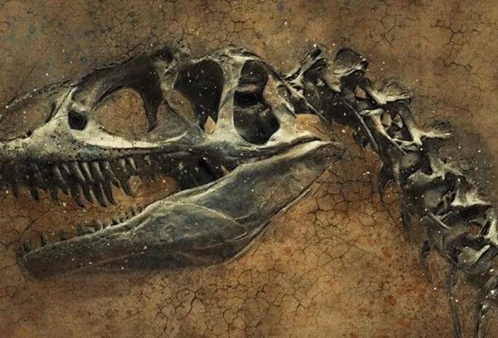 67 milyon yıllık dinozor iskeleti 47,3 milyon dolara satıldı
