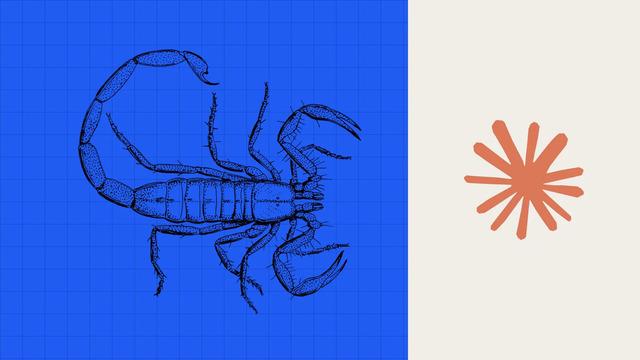 Yapay Zekâ 64 Saatte Akrep Zehrine Karşı Protein Tasarladı: Peki, Bu Gerçekten Bir İlaç mı?