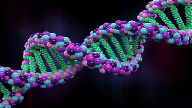 DNA’nızla Konuşmak İster Miydiniz? Buyurunuz, Carbon-X!